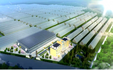 中國500強信發(fā)集團數字農業(yè)智慧園區(qū)項目